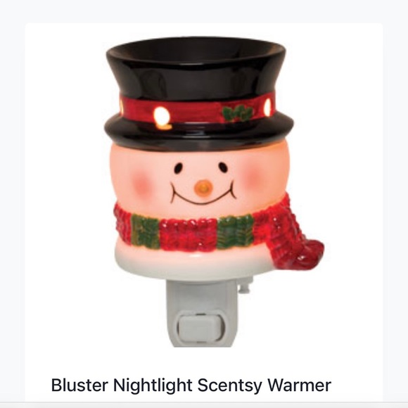 Scentsy Other - Scentsy Bluster Plug In Warmer